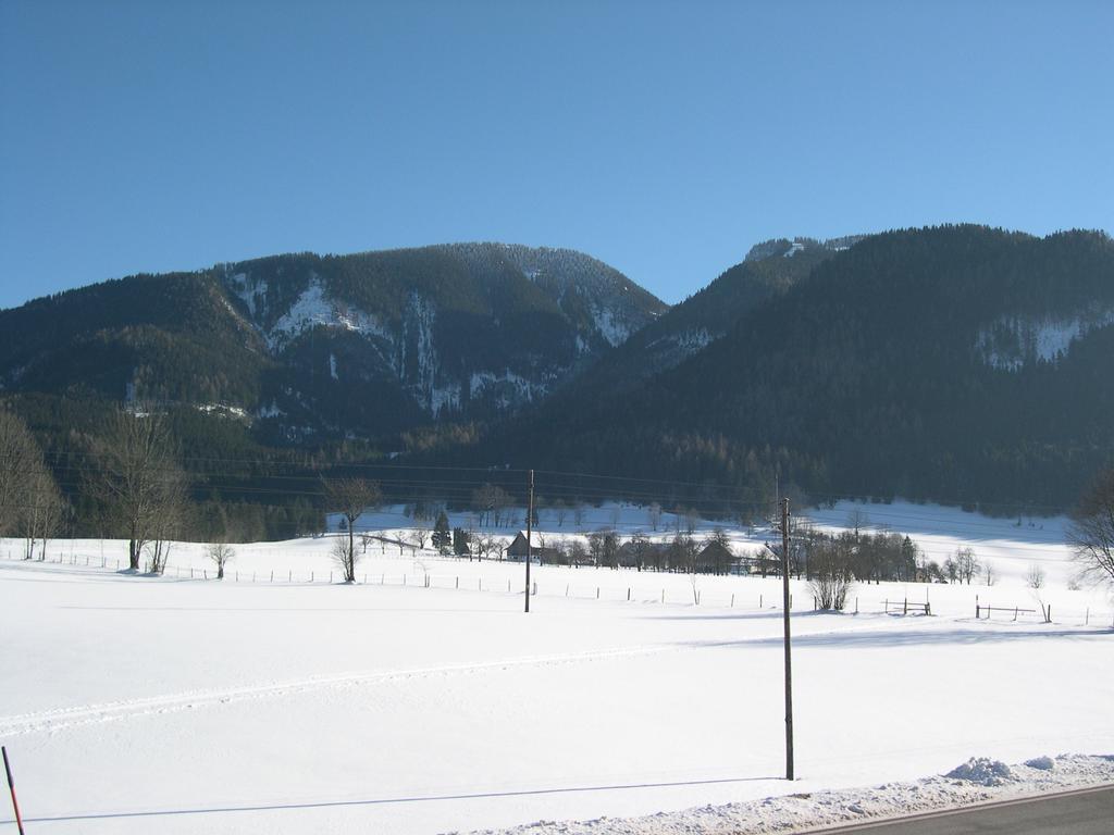 Bauernhof Plachl Farm stay *